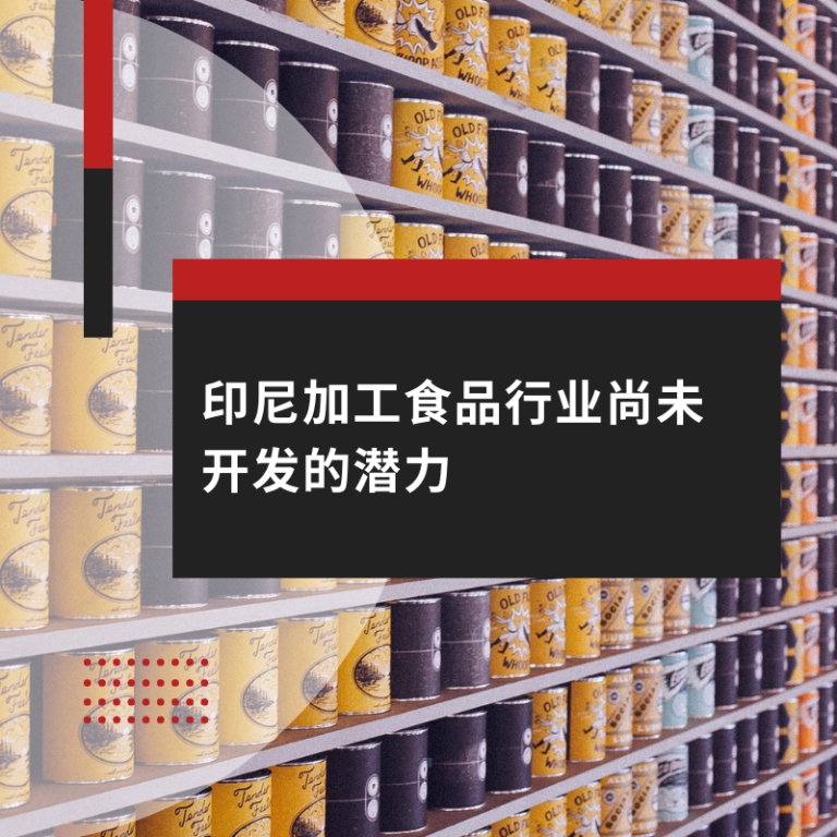 印尼加工食品行业尚未开发的潜力